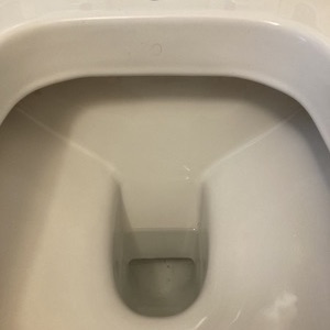 A bright, clean, good as new, descaled & deep cleaned toilet bowl after a Bathroom Revival, deep cleaning service.
